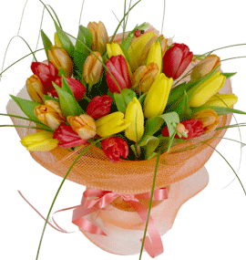 http://www.anafor.ru/forums/uploads//post-10588-1283452014.gif