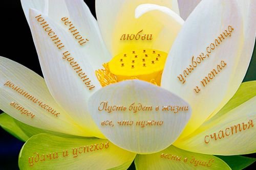 Поздравления с днем рождения я для тебя останусь светом Поздравления с днем рождения я для тебя останусь светом